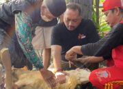 Warung Kopi Manis Cirebon Gelar Kurban, Filosofi Berbagi Jadi Kunci Kesuksesan Usaha