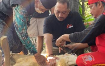 Warung Kopi Manis Cirebon Gelar Kurban, Filosofi Berbagi Jadi Kunci Kesuksesan Usaha