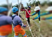 PLN UPT Karawang Perkuat Sistem Transmisi SUTET 500 kV Cirata–Deltamas Jelang libur Iduladha