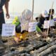 Tak Sekadar Seremonial, DLH Cirebon Gunakan Teknik Guludan Tanam Mangrove