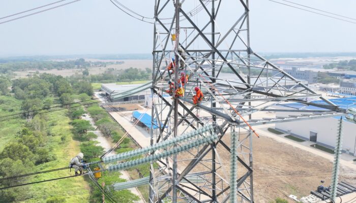 Sambut HUT ke-81 RI, PLN Siagakan Personal dan Optimalkan Keandalan Instalasi Transmisi 
