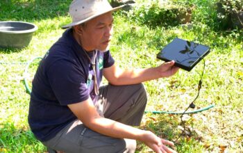Hari Pelanggan Nasional, PLN Dorong Kemandirian Petani melalui Smart Farming Jayawangi