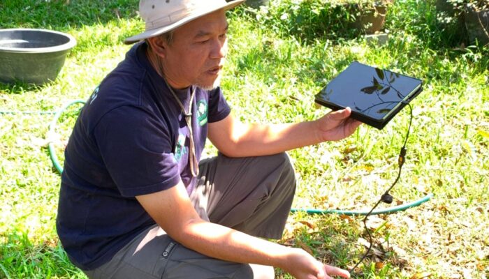 Hari Pelanggan Nasional, PLN Dorong Kemandirian Petani melalui Smart Farming Jayawangi