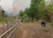PLN Bergerak Cepat Amankan Jalur Transmisi dari Dampak Kebakaran Lahan