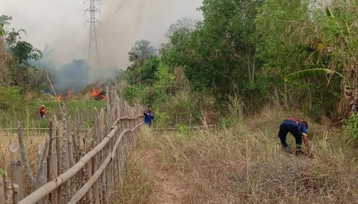 PLN Bergerak Cepat Amankan Jalur Transmisi dari Dampak Kebakaran Lahan