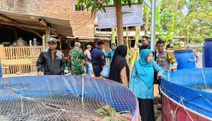 Dinilai Lomba K3, RW 09 Situgangga Andalkan Lingkungan Bersih dan Produktif